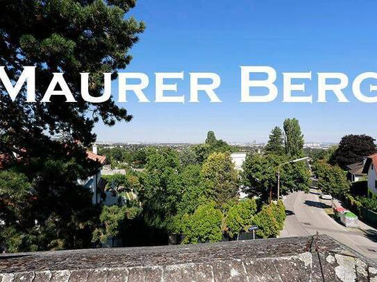 Maurer Berg Toplage, Blick über Wien