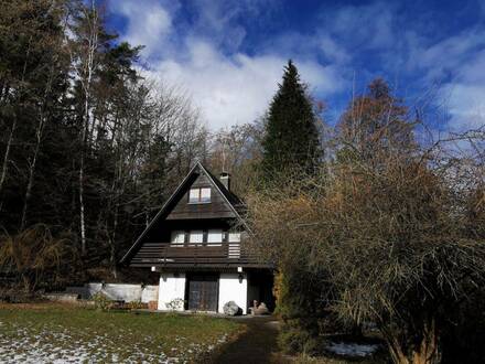 Ferienhaus mit tollem Grundstück zu vermieten!