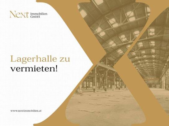 NEUBAU - Lager-/Produktionshalle (optional mit Büroflächen) in Asten zu vermieten