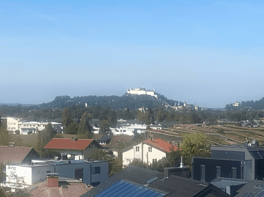 Luxuriöse Penthauswohnung mit Festungs- und Untersbergblick, riesiger Terrasse und eigenem Garten (Hanglage)