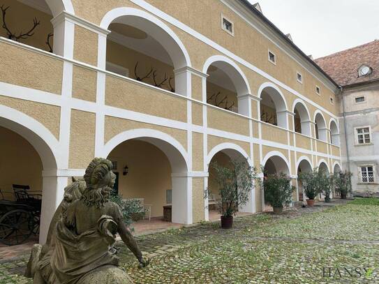 WOHNEN IM SCHLOSS mit idyllischem Parkblick, einem Pferdeparadies und traumhafter Umgebung