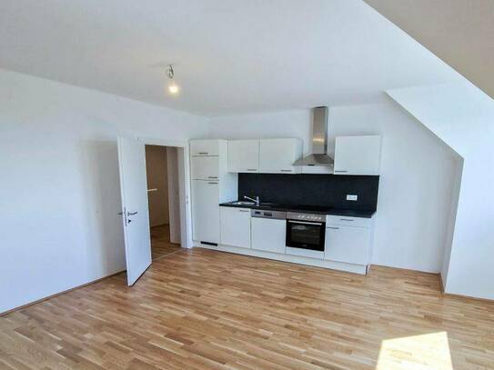 Frisch renovierte - 2- Zimmer Wohnung mit Küche in der Darrgutstraße in Linz