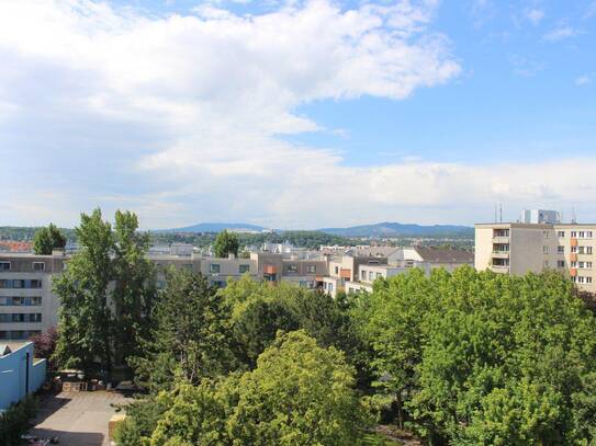 Exklusive helle Dachgeschosswohnung mit Dachterrasse und Weitblick!