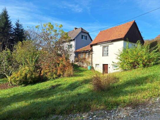 Charmantes Haus mit Nebengebäude für Gartenliebhaber!