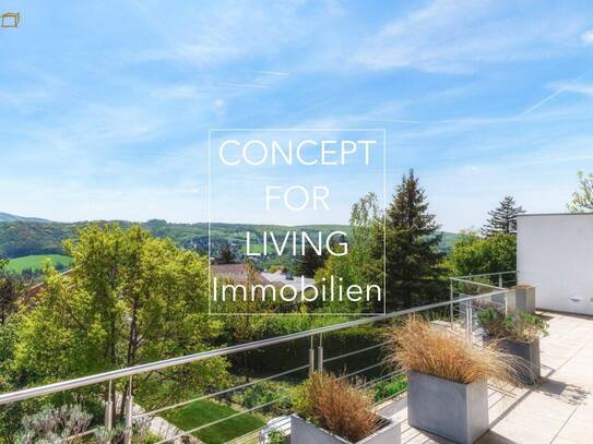 ARCHITEKTEN-VILLA | AM ÖLBERG | südlage | luxus pur | fernblick auf klosterneuburg und skyline von wien