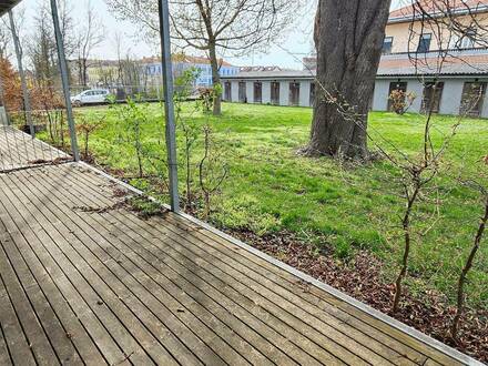 Helle 1-Zimmer-Terrassenwohnung mit Garten-Nutzung in Gramatneusiedl zu vermieten € 464,49 / Monat