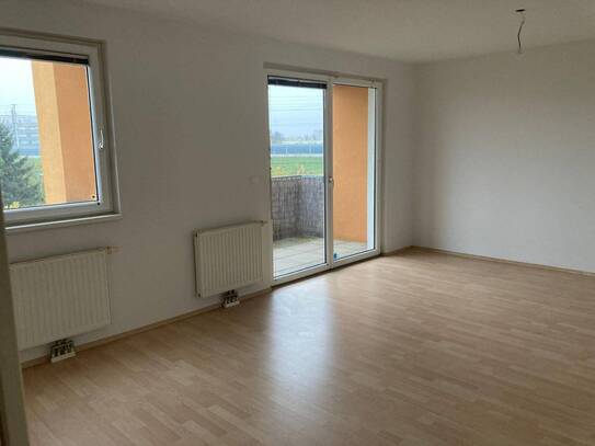 Gemütliche Vorstadt Wohnung mit Balkon