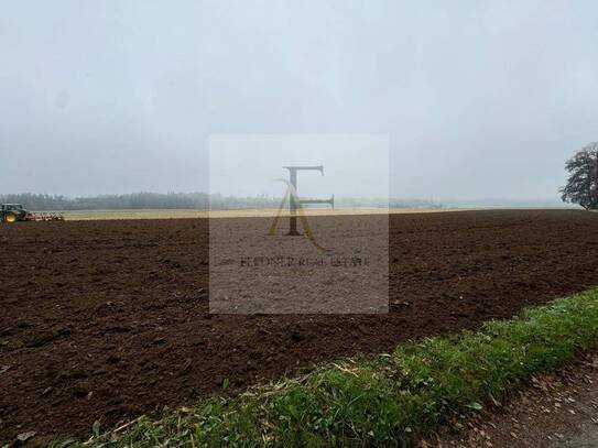 Landwirtschaft - Acker ca. 6 ha Südostkärnten