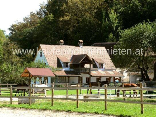 Pferdeparadies inkl. traumhaftes Landhaus auf über 4ha Grundfläche!