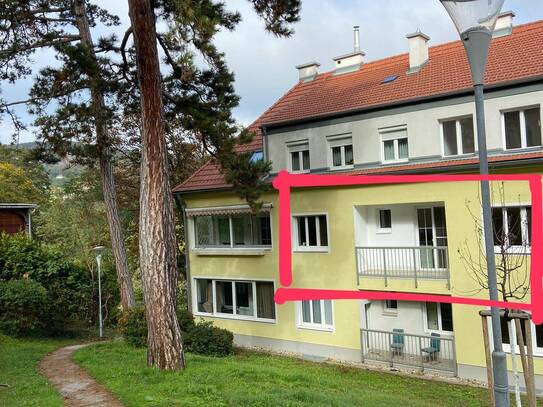 PRIVAT-provisionsfreie, helle, ruhige 55m2 Wohnung mit Balkon in Mödling