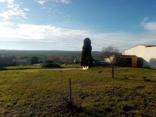 Wochenendhäuschen/zwei Presshäuser + großer Garten mit schöner Aussicht!