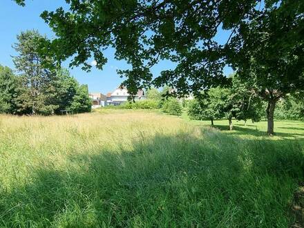 Einfamilienwohnhaus mit Nebengebäude und großem, schönen Grundstück Nähe Gleisdorf!