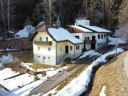 Wohnhaus und Werkstatt mit viel Potential