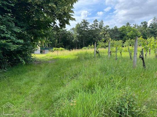 Burgenlands Weinparadies: Landwirtschafts- und Weinbauliegenschaft zum Traumpreis!