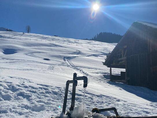 Ferienwohnung zwischen Arlberg und Bodensee