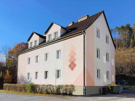 Gemütliches Wohnen: 2-Zimmer-Wohnung in Sankt Aegyd am Neuwalde