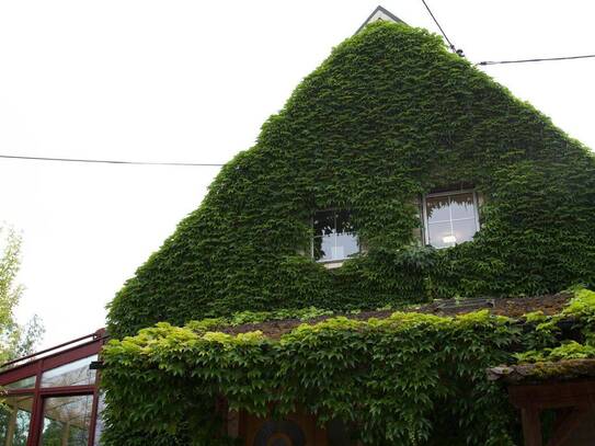 Einfamilienhaus mit Wintergarten auf großem Grundstück in Leonding