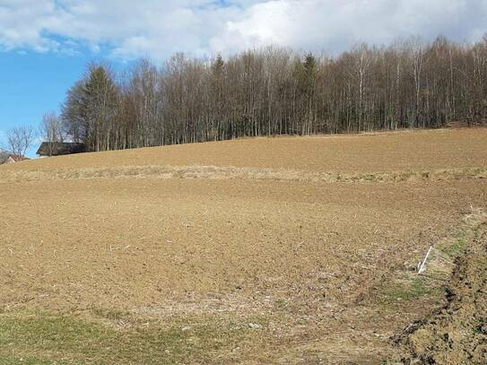 Landwirtschaftliche Nutzfläche