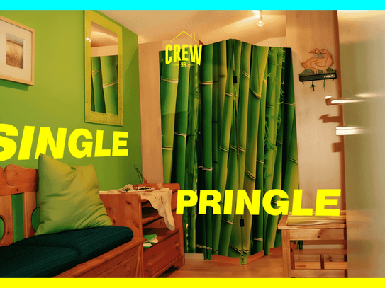 SINGLE PRINGLE - Dachgeschoss-Traum zum Schnäppchenpreis!