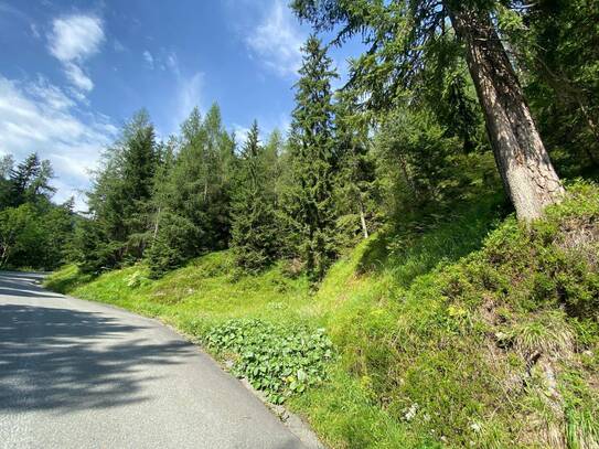 Waidring bei Kitzbühel: 5,6 ha Mischwald zu Verkaufen