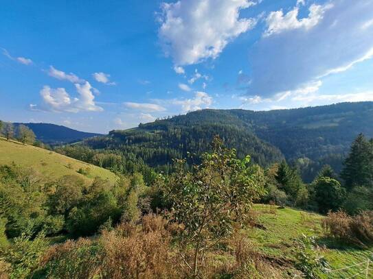 Alleinlage: Sehr gut geschnittener Rohbau mit Wald- und Wiesenflächen in absoluter Ruhelage