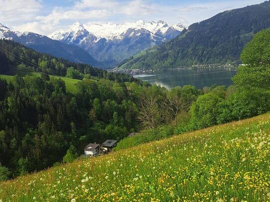 Raritäts Verkauf in Zell am See