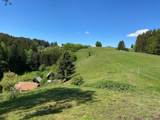 Natur pur - alter Bergbauernhof in Alleinlage