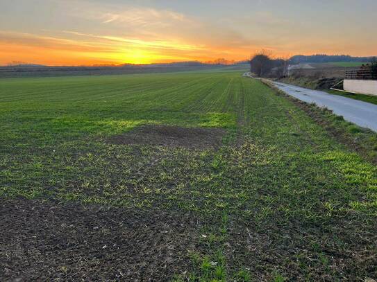 Hochwertige landwirtschaftliche Ackerfläche