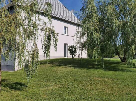 Große Gartenwohnung mit Terrasse