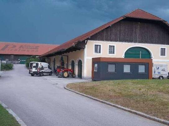 Ausstellungsfläche und Lagerhalle zu vermieten