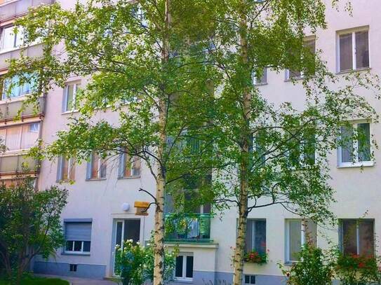 Toplage Wohnung in 1110 Wien- Simmering