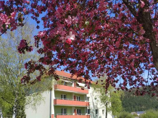 Privatverkauf! 2-Zimmer-Wohnung mit Einbauküche und großer Loggia