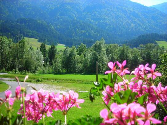 Ferienwohung im Gailtal mit Einkommenspotenzial