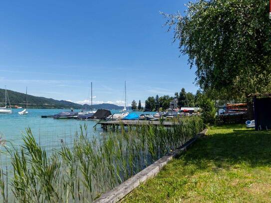 VELDENER BUCHT-RARITÄT : 30 lfm Seeufer & ruhiges Wald-Chalet: Seltene Gelegenheit in der ersten Reihe am Wörthersee