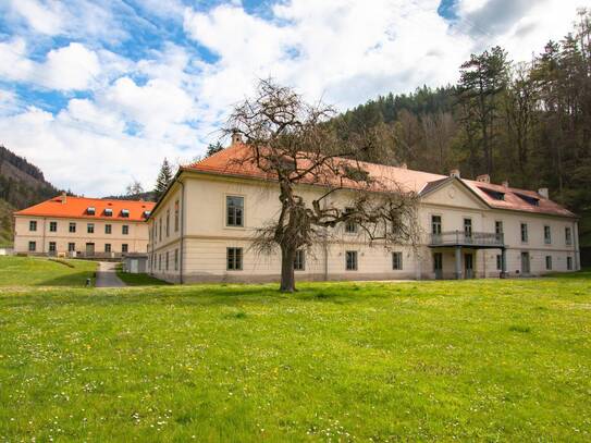 Wohnen und arbeiten im Schloss Freienstein