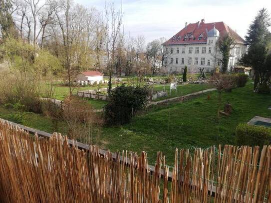 Geräumige Wohnung nahe Hilmteich - Uninähe