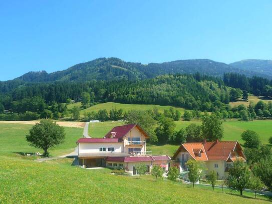 Landsitz Beteiligung / Anteile an einem exklusiven Landsitz in Kärnten, Seeboden am Millstätter See. Gemeinsam verwalte…