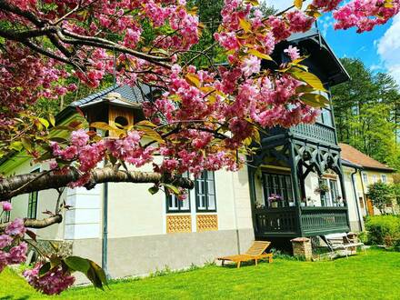 130m2 sonnige, barrierefreie Altbau Villenetage mit Garten, in zentraler Ortslage