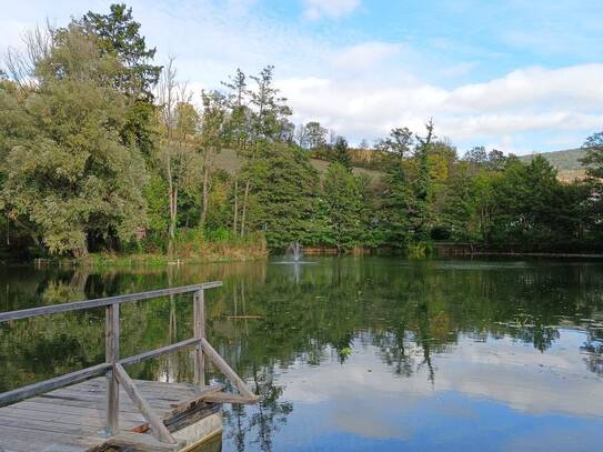 Gemütliche 2 Zimmerwohnung am Teich