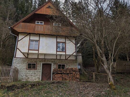 Einfamilienhaus in idyllischer Waldrandlage im Bezirk HF