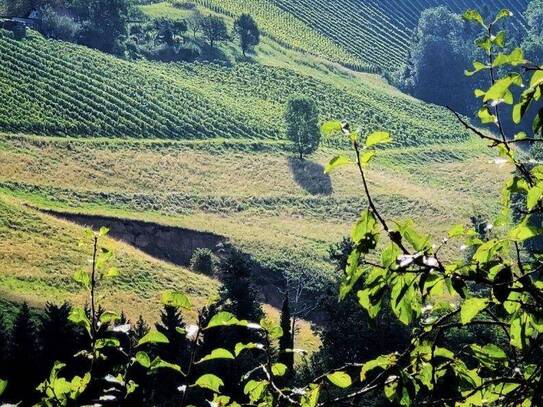 Südsteiermark: Einzigartiger. gemütlicher Hausanteil vollausgestattet und möbliert mit eigener Sauna! KURZZEITMIETE mög…