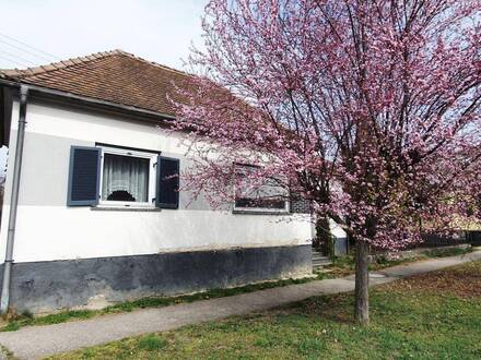 ruhiges 2.355 m² Grundstück mit Abbruchhaus in Stadtschlaining