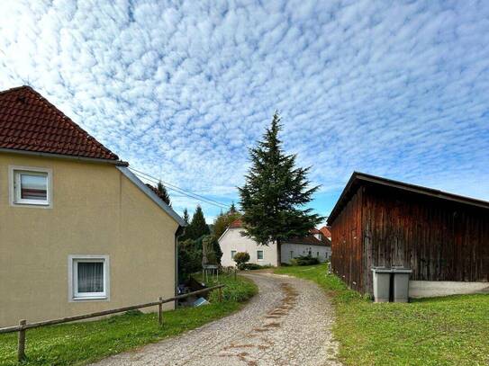 3 ZIMMER ERDGESCHOSSWOHNUNG MIT TERRASSE IN GREIN AN DER DONAU