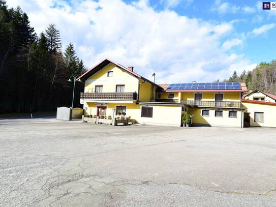 Kurzzeitvermietung via airbnb, booking & Co am Fuße der Soboth - 666 m² Bestand warten auf Ihren kreativen Umbau