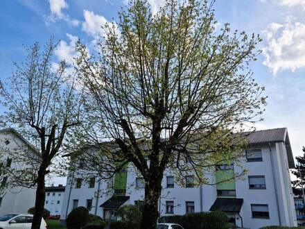 Sonnige 3-Zimmerwohnung, sofort verfügbar
