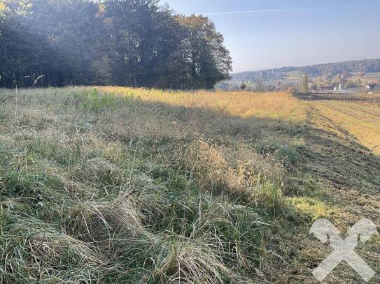 Kaufen statt Pachten - 4.384 m² Ackerland in St. Nikolai ob Drassling