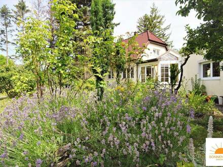 Enzesfeld - NEUER PREIS! geräumiges Wohnhaus mit großem, sonnigen Grund und wunderschönem Weitblick