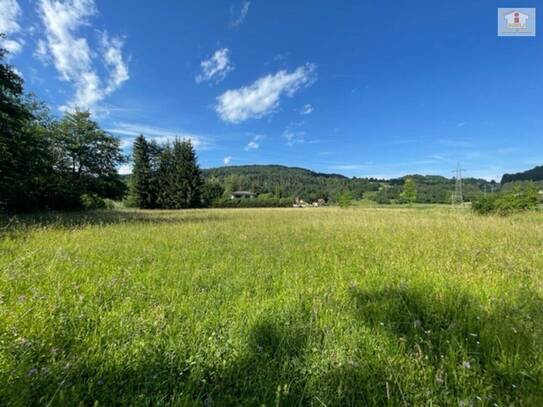 Schöne landwirtschaftliche Flächen mit 3.208m² - Nähe Hafnersee - Kein Baugrund!