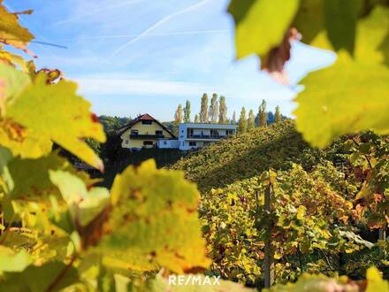 INVESTOREN aufgepasst! Weingut mit Gästezimmer, drei Betriebswohnungen in Leutschacher Aussichtslage PROVISIONSFREI