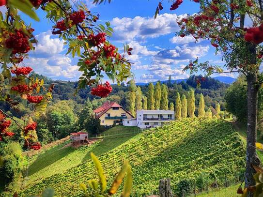 Weingut mit Gästezimmer, drei Betriebswohnungen in Leutschacher Aussichtslage PROVISIONSFREI